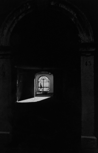 Controluce 2