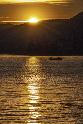 tramontino 1