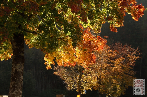 Autunno