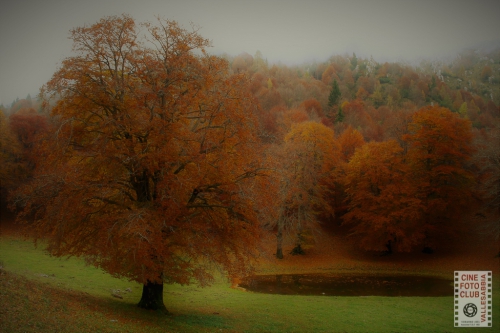 Autunno