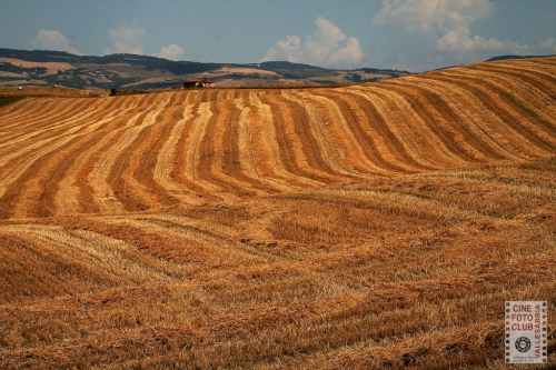 Estate in Val d'Orcia