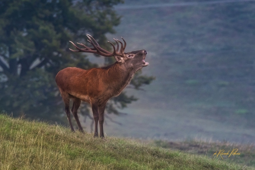 Appennino tosco