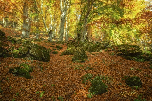 Autunno
