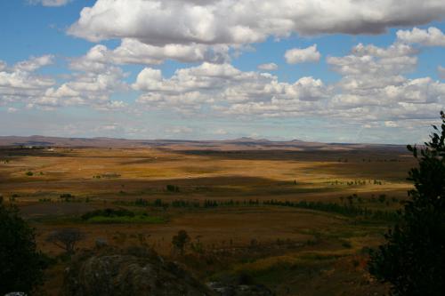 madagascar-14