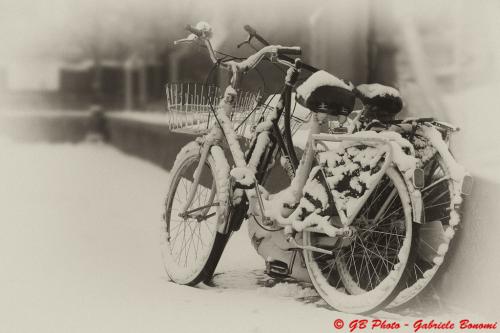 4 biciclette-salo
