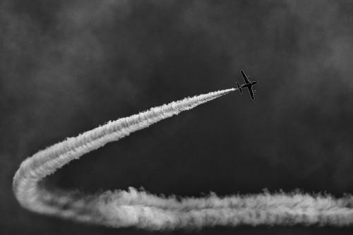 Scie #1