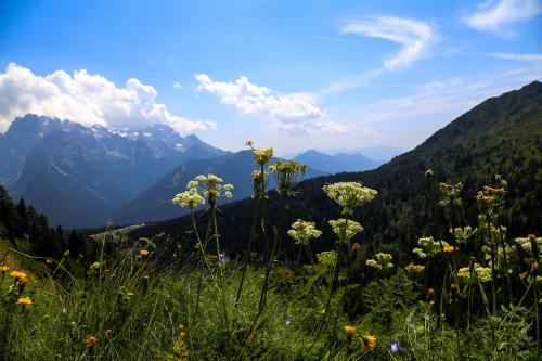 campiglio