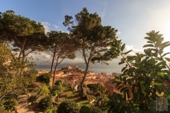 4-Isola-delba-101