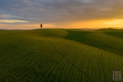DJI_0663